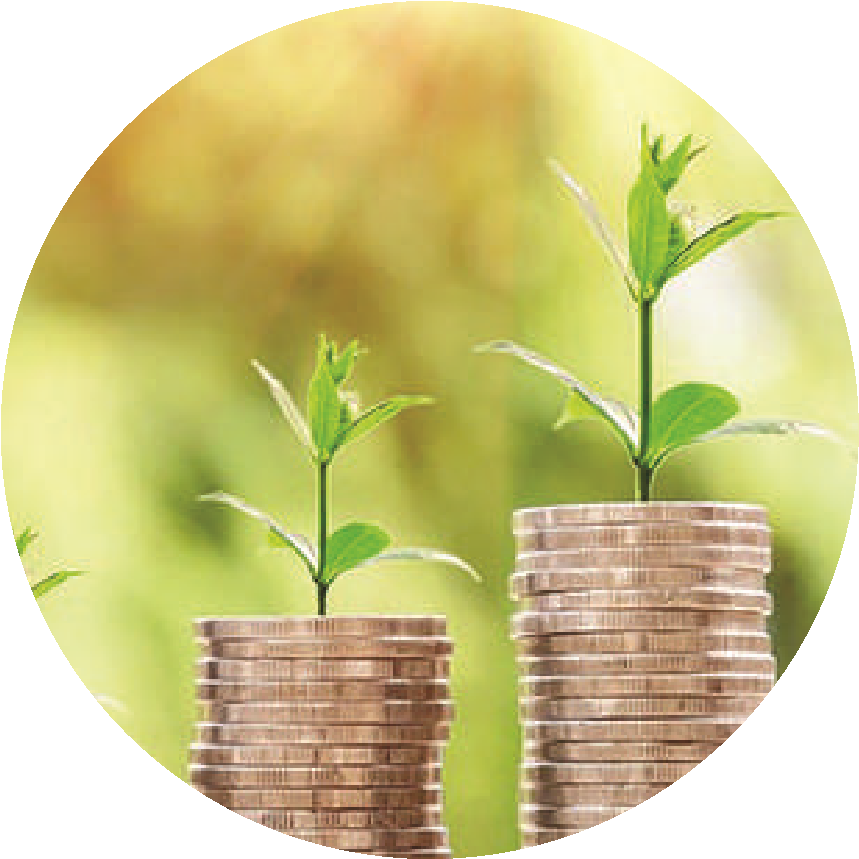Currency Futures course outline