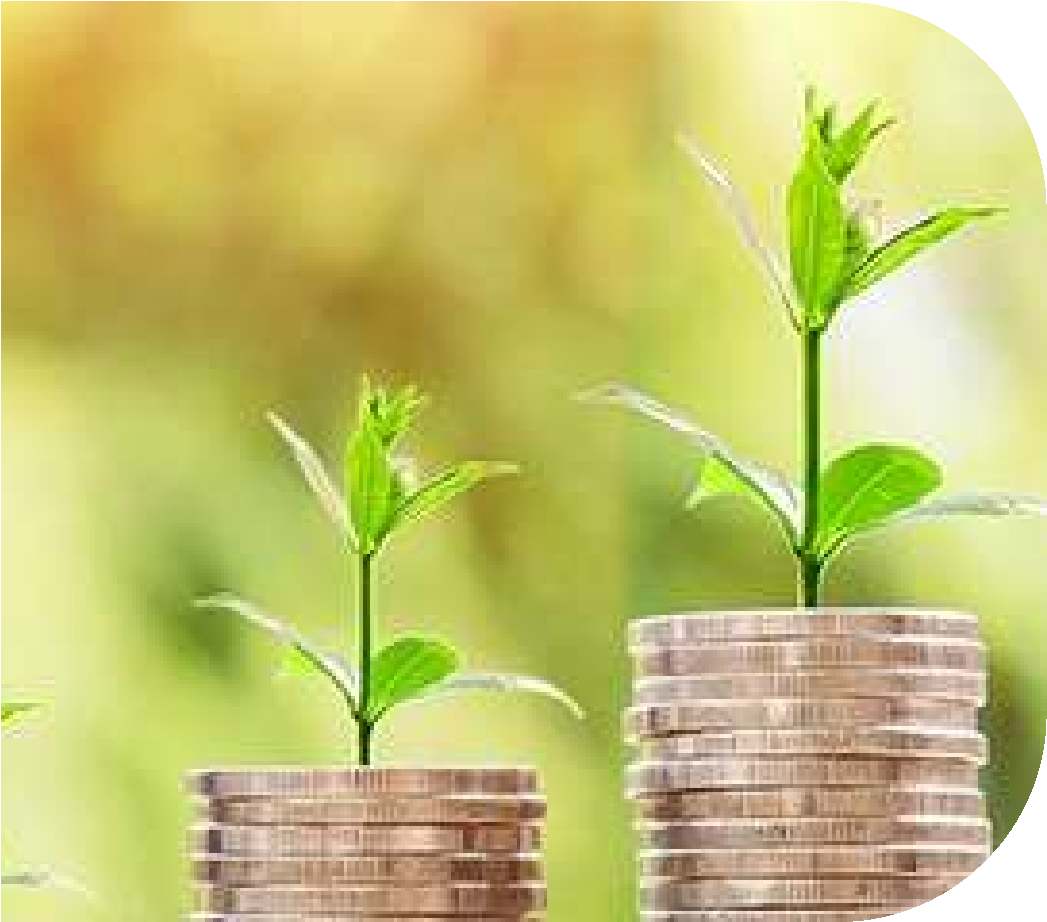 Wealth Management